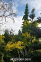 wbgarden spring 14